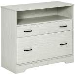 Vinsetto Lateral File Cabinet with Shelf, Office Storage Cabinet with 2 Drawers, Fits Letter Sized Papers, Gray