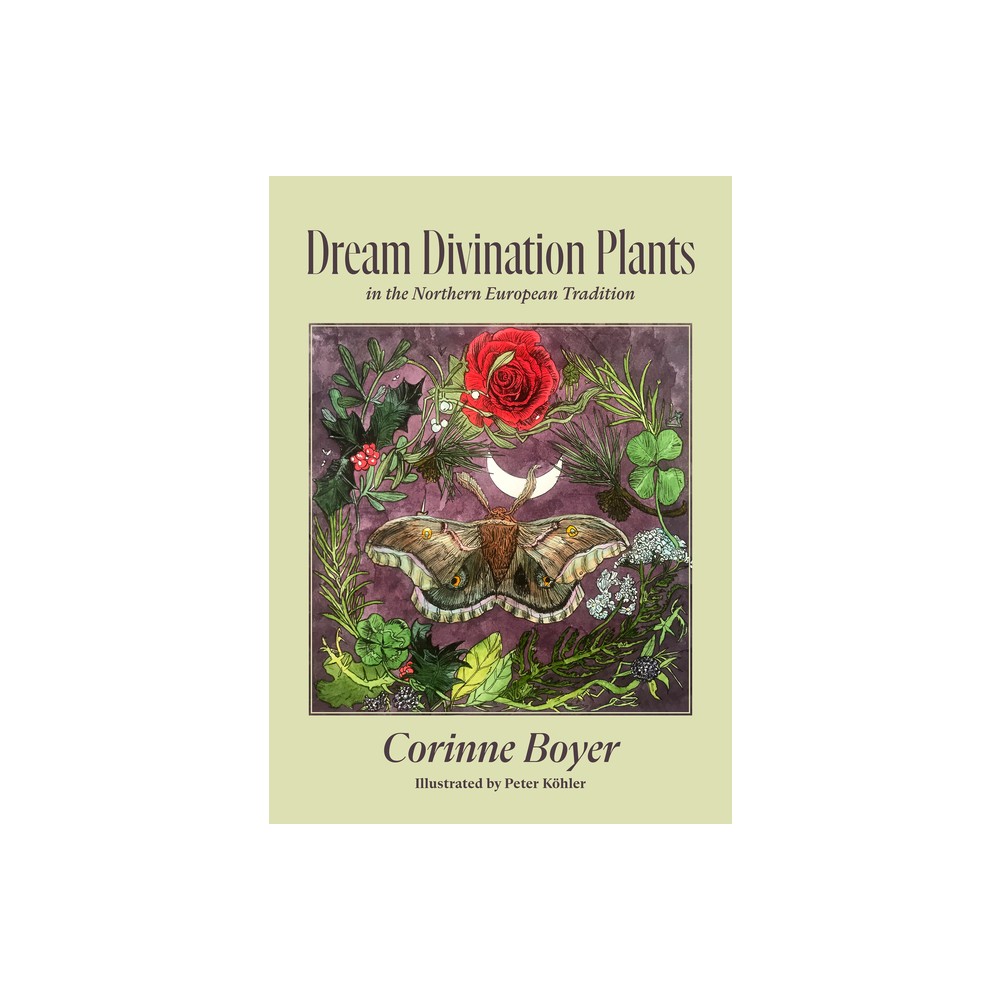 Dream Divination Plants - by Corinne Boyer (Paperback)