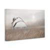 Stupell Industries Windblown Farm Grasses, 16" x 24" - 3 of 4