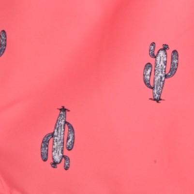 pink cactus