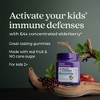 New Chapter Kids' for Immune Support Organic  Elderberry Vegan Gummies - 30ct - 4 of 4