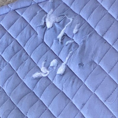 Guest review image 1 of 1, zoom in