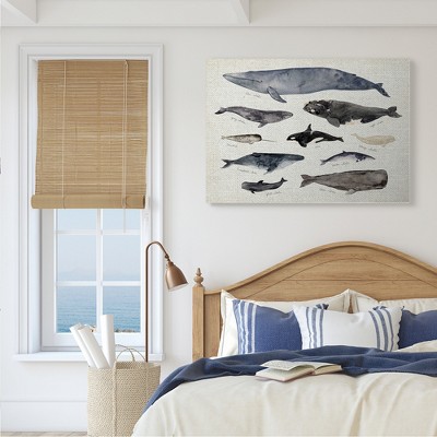 Vintage Nautical Chart of Whales Ocean Life Canvas Wall Art, 30 x 40
