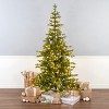 7.5' Prelit PowerConnect Feel Real Hinged Dancer Pine Artificial Christmas Tree Clear Lights - National Tree Company - 2 of 4