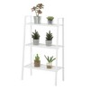 3 Tier Metal Plant Stand - Breighton Home - 3 of 4