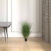 Artificial Grass Plant (24") - Vickerman: PVC Faux Curled Greenery, Indoor/Outdoor Decor, Round Black Plastic Pot - image 3 of 4