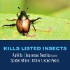 BioAdvanced 3-in-1 Insect Disease & Mite Control, Non-Neonic, Ready-to-Spray, Spray - 32 fl. oz. - 2 of 4