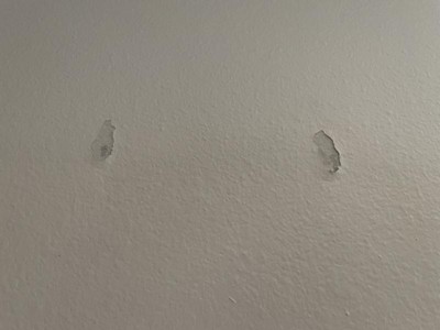 Guest review image 2 of 3, zoom in