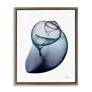Stupell Industries Contemporary Snail Shell Floating Frame Canvas Art - 1 of 4
