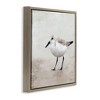 Stupell Industries Lone Sandpiper Bird Portrait, 18" x 18" - 3 of 4