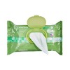 McKesson Flushable* Wet Wipes - Aloe & Vitamin E Formula, Gentle on Skin, Plant-Based Adult Cleansing Wipes - Scented - 2 of 4