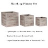 Pure Garden 3-Piece Square Planter Set - Fiber Clay Pots with Drainage Holes for Herbs, Plants, and Flowers - 2 of 4