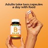 Oxyenergy Mega Vitamin B Complex for Men & Women – Includes Choline, Inositol, Biotin, Folic Acid, B Vitamins, Supports Nerve & Energy, 90 Capsules - 4 of 4