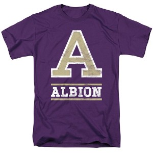 Men's Albion College Official Distressed Primary Logo T-Shirt Albion College - 1 of 4