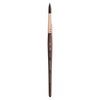 Princeton Neptune Round Brush, Synthetic Bristles, Short Handle Watercolor Paintbrush, Dark Wood, Size 10, Pack of 2 - 2 of 4