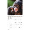 Trends International 2025 Animal Babies Bilingual French Wall Calendar: Monthly, 12x12", Paper, All Ages, Saddle Stitch - image 3 of 4