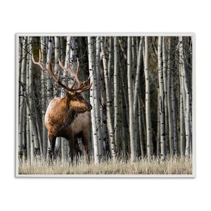 Stupell Industries Elk Looming Out Birch Trees Animal Forest Photograph Black Framed Giclee Art - 1 of 4