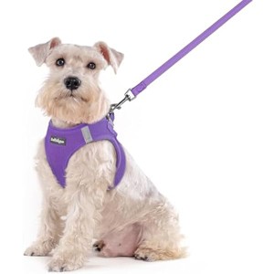 rabbitgoo Dog Harness Small Sized and Leash Set, Breathable Mesh Pet Harness, Reflective for Outdoor Safe Walking, Purple XXL - 1 of 1