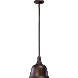 Quorum Lighting 1 - Light Pendant in  Oiled Bronze - 1 of 1