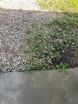 Guest review image 2 of 2, zoom in
