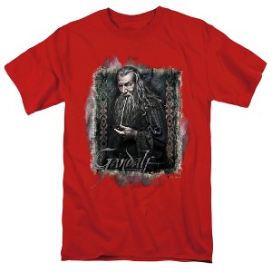 The Hobbit Gandalf Adult T-Shirt - 1 of 4