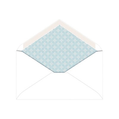 Staples Security-Tint Gummed #6-3/4" Envelopes 250/Box (317321/19254)