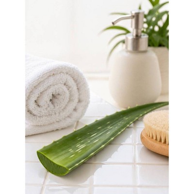 Aloe Leaf - each