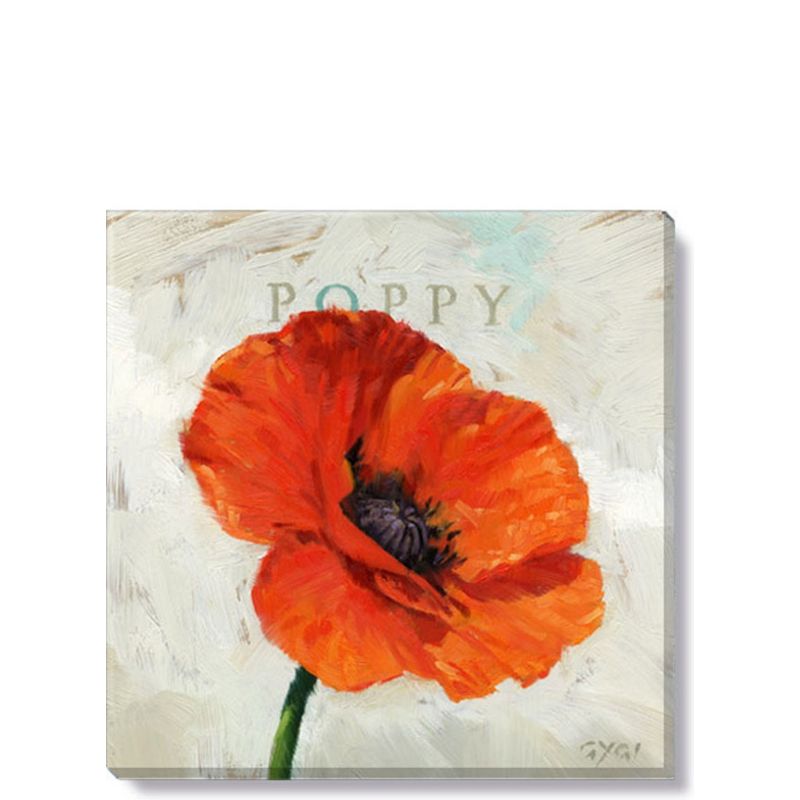 Sullivans Darren Gygi Poppy Canvas, Museum Quality Giclee Print, Gallery Wrapped, Handcrafted in USA, 5 of 6