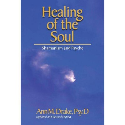 Healing of the Soul - by  Ann M Drake (Paperback)