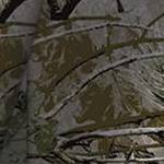 woods camo
