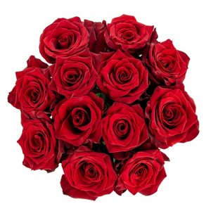 Fresh Cut Dozen Red Valentine's Day Roses - Spritz™ - 1 of 3