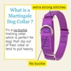 Country Brook Petz Martingale Heavyduty Training Collar with No Buckle - Service Collar for All Dogs - Vibrant, Colorful Collection - 3 of 4