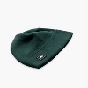 Turtle Fur Adult Chelonia 150 Fleece Beanie - 2 of 4