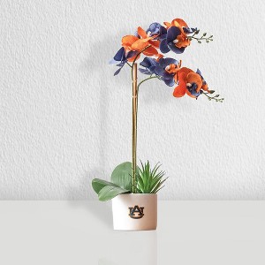 Forever Leaf Auburn State Faux Orchid, Indoor Artificial Plant for Home Decor - 1 of 4