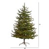 Nearly Natural 6-ft Vancouver Mountain Pine Artificial Christmas Tree with 350 Clear Lights and 1332 Bendable Branches - 2 of 4