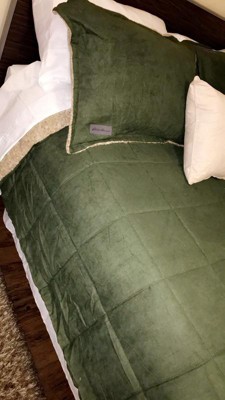 EDDIE BAUER Sherwood 2-Piece Green Solid Micro Suede Twin Comforter Set  USHSA51122302 - The Home Depot