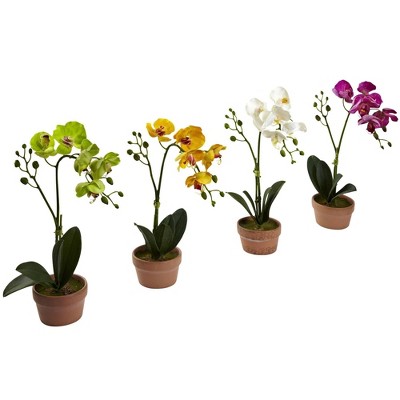 Set of 4 Multicolor Faux Orchid Plants in Clay Pots