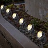 C Cattleya Outdoor LED Landscape Spotlight with Ground Stakes for Garden Pathway and Courtyard - 2 of 4