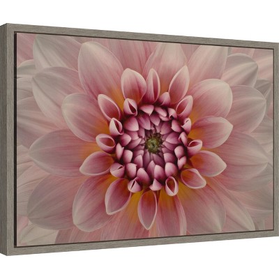 Pink Dahlia Macro Canvas Wall Art with Graywash Frame