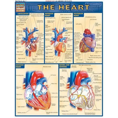 Heart - (Quickstudy: Academic) by  Vincent Perez (Poster)