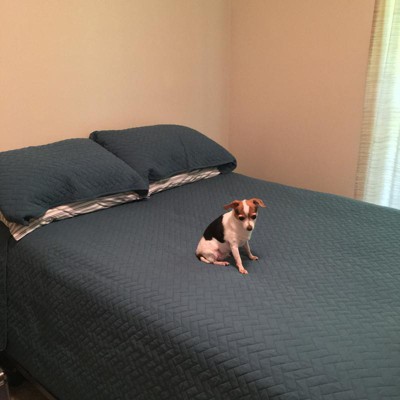 Guest review image 2 of 3, zoom in