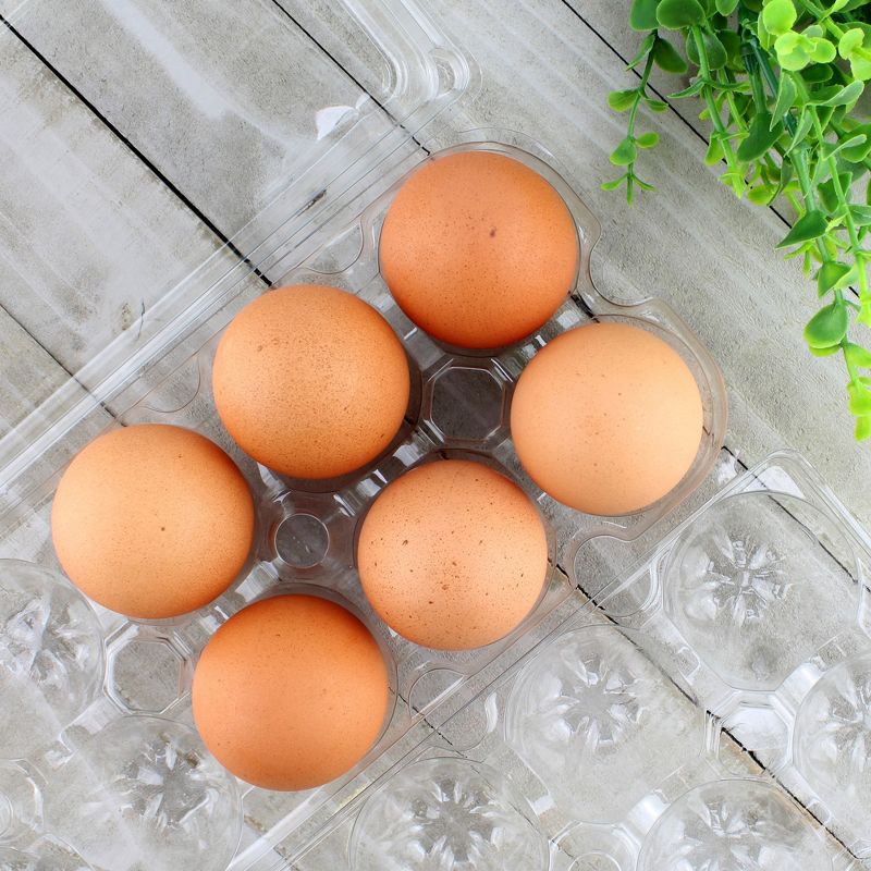 Cornucopia Brands Clear Plastic Egg Cartons, 20pk; Tri-Fold Containers for One Dozen Eggs, 2 of 9
