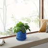 SEVOBAL Planters Set of 2 Modern Ceramic Flowerpots, All-Weather Indoor, Outdoor Use for Patio, Garden, Windowsill, Blue, 11.82"*11.82"*11.03" - 2 of 4