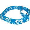 Country Brook Petz Blue Hawaiian Martingale Dog Collar (1 Inch, Medium) - 3 of 4