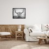 Stupell Industries Grey Highland Cow Photograph Floating Frame Canvas Art - 3 of 4