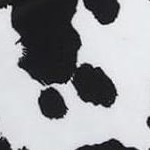 cow print