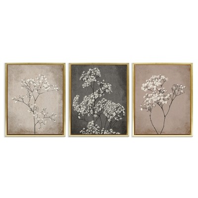 Stupell Industries Botanical Baby's Breath Herbs, 17" x 21"