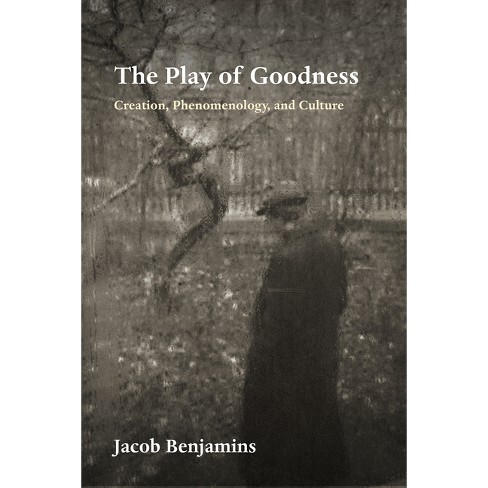 The Play of Goodness - (Perspectives in Continental Philosophy) by Jacob Benjamins - image 1 of 1