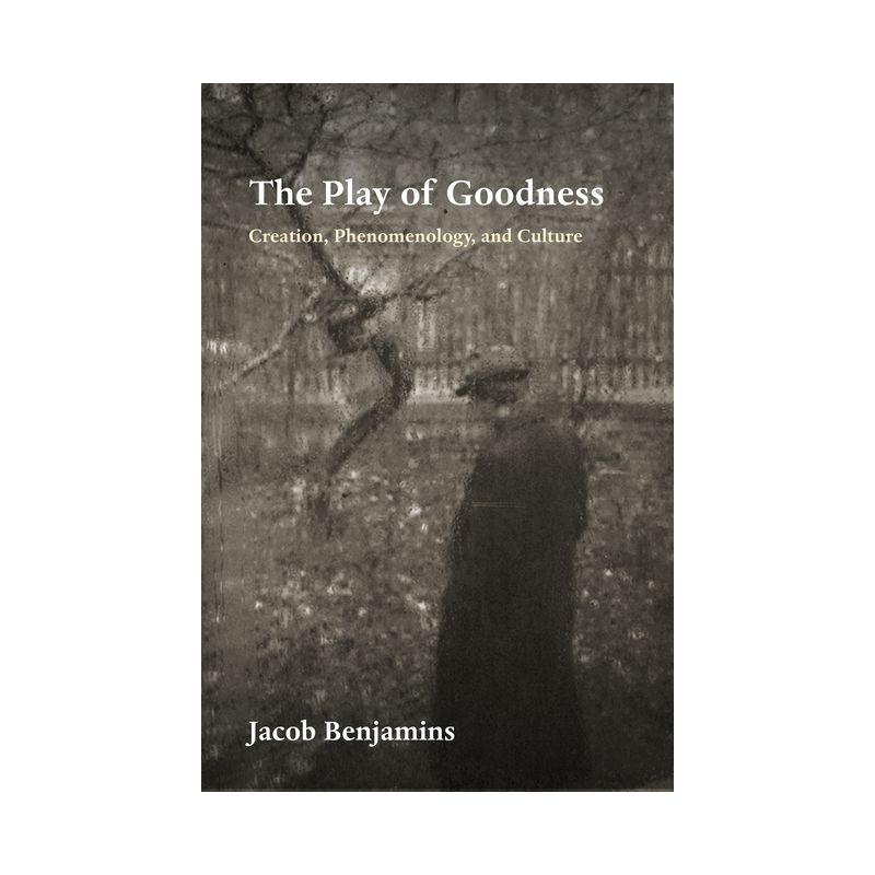 The Play of Goodness - (Perspectives in Continental Philosophy) by Jacob Benjamins, 1 of 2