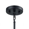 Elk Home Caldwell 1 - Light Pendant in  Matte Black/Satin Brass - 4 of 4